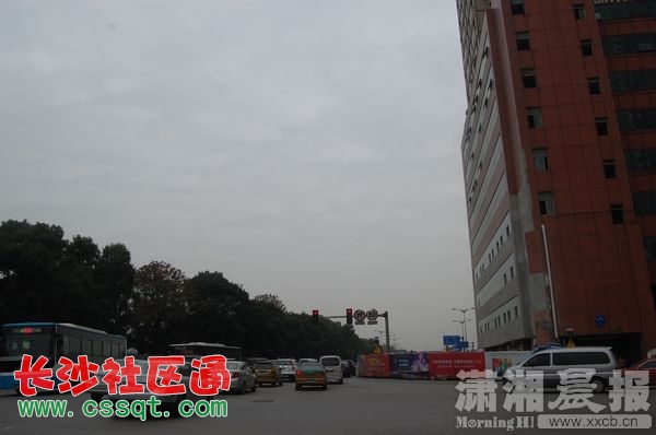 DSC_2688_nEO_IMG.jpg